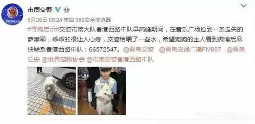 有問題找警察，薩摩耶派出所報(bào)案，不注意這件事，對(duì)狗狗致命，警察蜀黍卻幫不上忙！