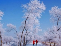 如何解決冬季室內(nèi)和車內(nèi)環(huán)境污染問題的問題呢？