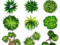 可以凈化室內(nèi)空氣的植物，這二十種您需要好好了解一下！