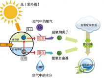 什么甲醛治理辦法效果好持續(xù)時間長？