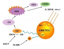 杭州除甲醛的優(yōu)效方法有哪些？