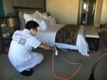 如何使用光觸媒除甲醛，以及它的原理是什么