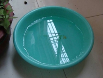 裝修完僅靠兩盆冷水就能除甲醛？這個(gè)說法連網(wǎng)友都出來辟謠！大家別再相信了！