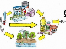 食品中有塑化劑嗎？這些食品中含有大量塑化劑，食用時一定要注意！