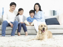 家里甲醛超標(biāo)怎么辦，受污染影響的人群有哪些