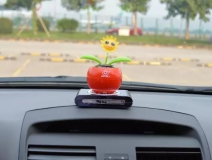 新車除醛，車內除甲醛什么辦法最好？