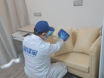 偏方真的能除甲醛嗎？