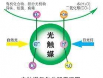 您知道或者聽說過光觸媒嗎？