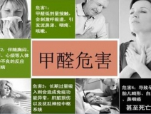 哪些綠植可以除甲醛？