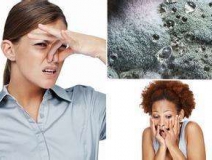 家里有異味怎么辦？科學除味、治理甲醛就對了！