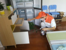 除甲醛公司是否靠譜？靠譜的公司有哪些特點？