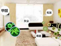 網(wǎng)上的除甲醛好辦法真的有效嗎？原理是什么