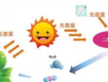 無光觸媒和光觸媒有什么區(qū)別？