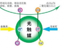 什么除甲醛效果最好呢？
