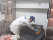 哪種方法除甲醛才是真正有效的呢？