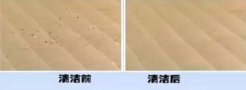南京美女睡了10年的床墊，掀開(kāi)后把全家人都嚇傻了……